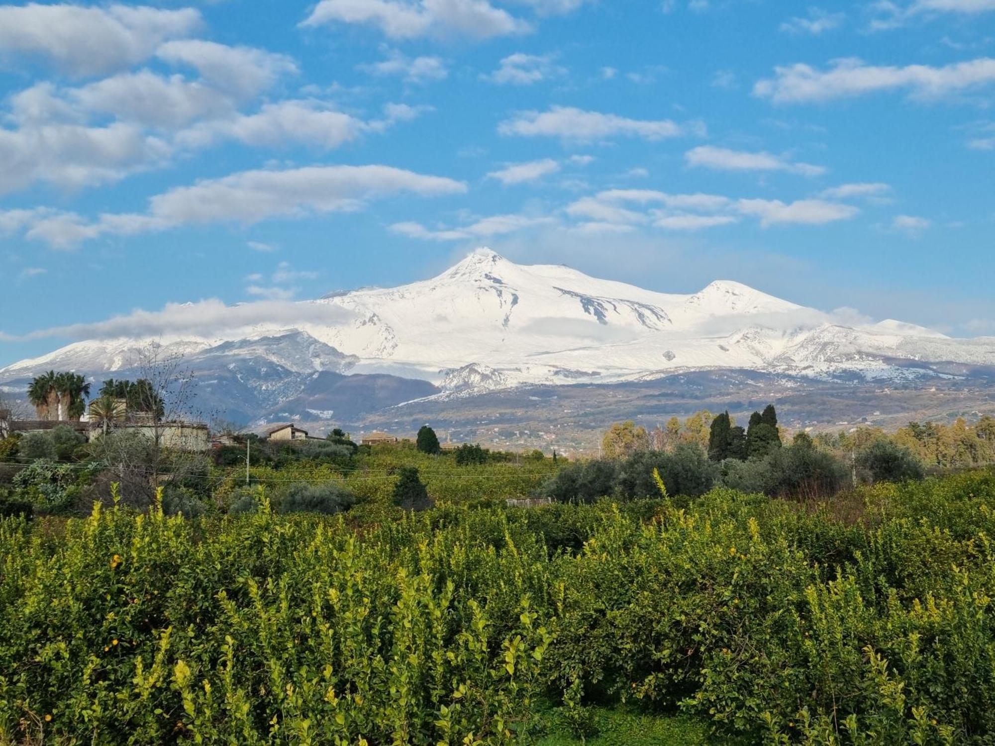 Delightful Relaxing Home With Heated Pool Near Catania, Taormina, The Sea And Mount Etna Giarre Luaran gambar